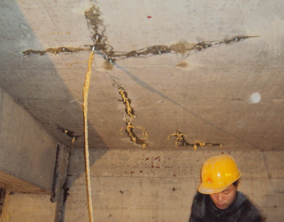 �����Ҷ�©